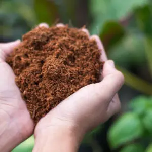 10L Coco Coir Brick Multi Purpose Potting Compost Compressed Peat Free