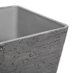 Plant Pot 49 x 49 x 53 cm Grey DELOS