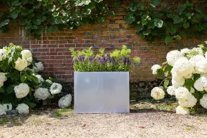 Primrose Garden Zinc Tall Trough Planter with Insert Silver 80cm