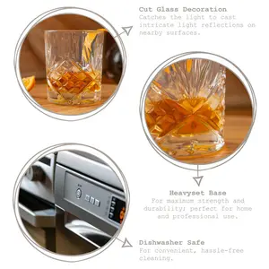 310ml Whiskey Glass Set (Set of 2)