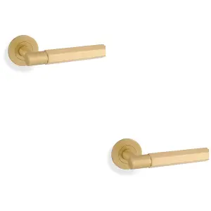 2 PACK - SOLID BRASS Hex Door Handle Set - Satin Brass Industrial Lever Round Rose