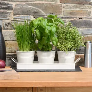 Set of 3 Metal Herb Plant Pots with Saucer Tray Indoor Windowsill Kitchen Planter (Chalk White)