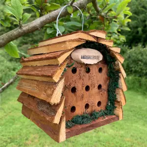 Wooden Hanging Butterfly & Ladybird House Set