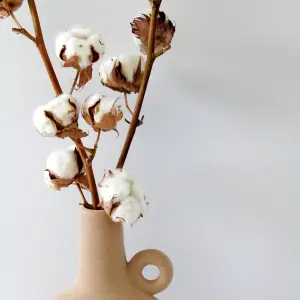 4 x Natural Dried Cotton Stems - Approx. 60cm in Height - Dried Flowers - Ideal for Home Décor - Flower Arranging