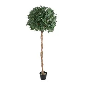 Blooming Artificial - 180cm / 6ft Fake Bay Laurel Tree