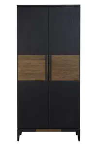 Interiors by Premier Salvar 2 Door Cabinet, Delivered Fully Assmbled