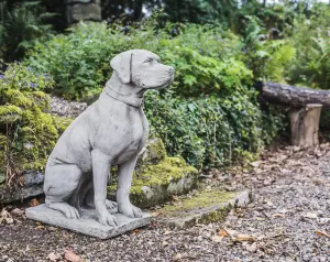 Large Life-size Hunting Dog Stone garden ornament