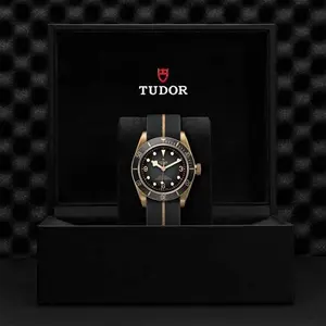 Tudor Black Bay Men's Bronze 43 Automatic Mens Watch M79250BA-0002, Size 43mm