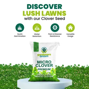 500g Micro White Clover Grass Seed Eco-Friendly Drought Resistant Lawn Cover