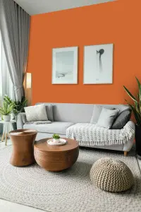 Leyland Trade Vinyl Soft Sheen Walls & Ceilings Emulsion Paint Signal Orange (RAL 2010) - 2.5L