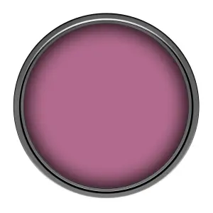 Leyland Trade Vinyl Matt Walls & Ceilings Emulsion Paint Florentine Pink (PPG17-09) 5L