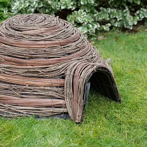 Wildlife World Dome Hedgehog Home