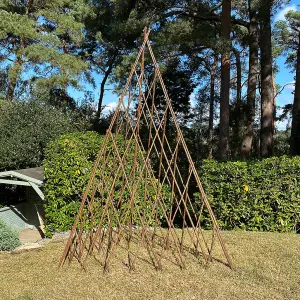 Set of Three Expanding Willow Garden Obelisks (1.5m)