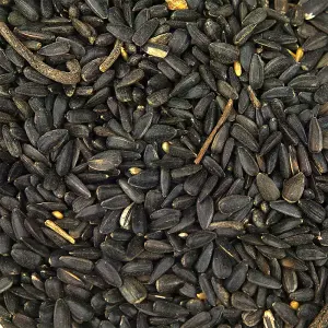 20kg SQUAWK Black Oil Sunflower Seeds - Wild Garden Bird Food Oil Rich Feed