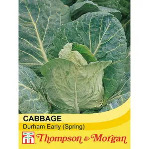 Cabbage Durham Early 1 Seed Packet (300 Seeds)