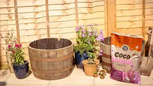 Coco&Coir Coco Bloom All Purpose 50L Peat Free Compost