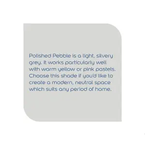 Dulux Quick dry Polished pebble Gloss Metal & wood paint, 750ml