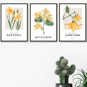 Set of 3 Framed Vintage Graphical Yellow Spring Flower Market / 30x42cm (A3) / Black