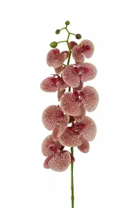 Fiori 100cm Spray Pink Orchid Artificial Plant Foliage