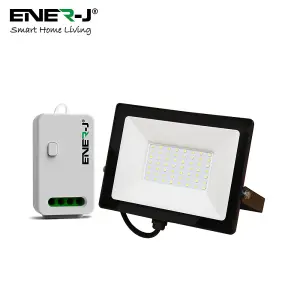 50W LED Floodlight Pre Wired with Eco Series 500W Non Dimmable RF WiFi receiver APP control remotely or Voice C