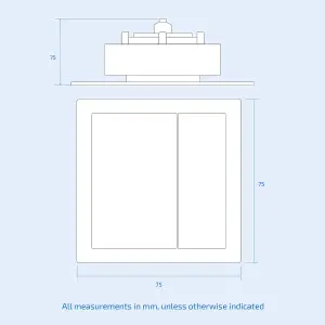 Nes Home Concealed Cistern Dual Flush Front Access Square Button Brushed Brass