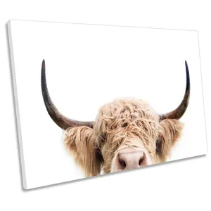 Peeking Highland Cow CANVAS WALL ART Print Picture (H)30cm x (W)46cm