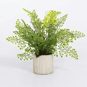 Blooming Artificial - 30cm / 1ft Fake Maidenhair Fern