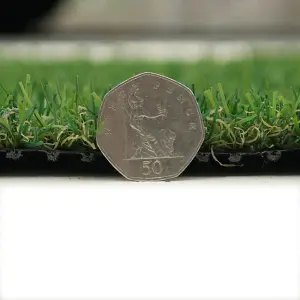 Fern 20mm Soft Outdoor Artificial Grass, Value For Money, Pet-Friendly Artificial Grass-15m(49'2") X 4m(13'1")-60m²