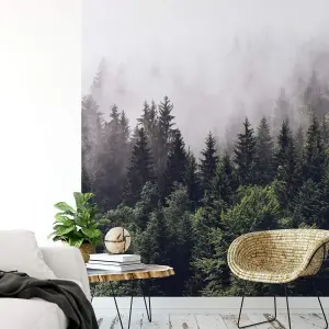 Forest Mist Mural - 192x260cm - 5433-4