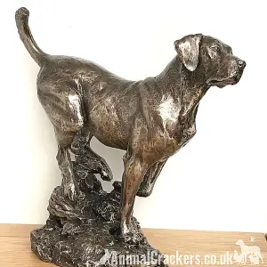 Large Labrador on Rocks dog figurine in solid cold cast bronze designed by David Geenty