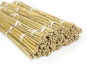 7ft Bamboo Plant Support Pack of 20 Garden Canes