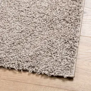 Shaggy Rug PAMPLONA High Pile Modern Beige 80x200 cm