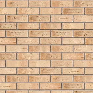 Ibstock Minster Beckstone Mix  Brick 65mm Mini Pack 250