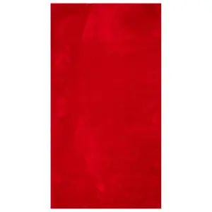 Rug HUARTE Short Pile Soft and Washable Red 60x110 cm