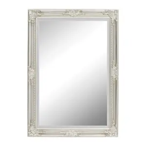 Madeleine Glass Mirror Silver / 74cm H x 104cm W