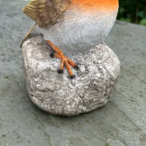 Remembrance Robin with 'When I Appear Your Loved Ones Are Near' sign memorial or grave ornament