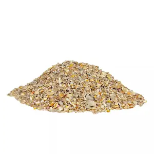 Gardman No Grow Wild Bird Seed Mix - 2kg