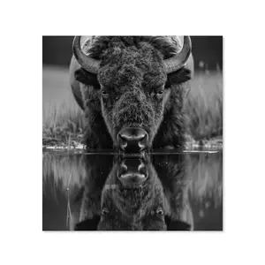 Toughened 6mm Glass Kitchen Splashback 60 x 65cm Black White Bison - Polished  Heat Resistant Back Splash for Cookers Hob