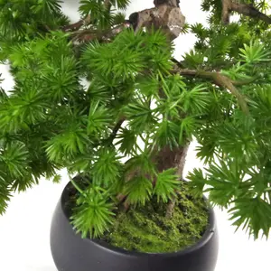 50cm Artificial Luxury Pine Bonsai Tree