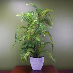 70cm Artificial Tree Fern with Decorative Planter