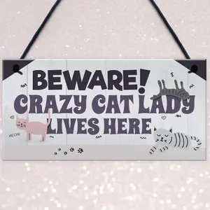 Red Ocean Funny CRAZY CAT LADY Hanging Plaque Animal Lover Sign Cute Cats Home Decor Door Gift