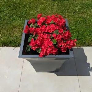 38cm Zinc Matte Grey Flared Tapered Square Planter