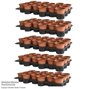 Plant Shuttle Tray x5 and Pots x90 set by Thompson and Morgan (90)