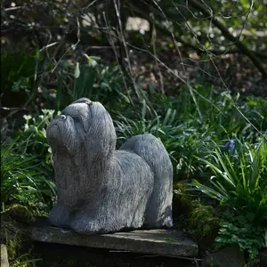 Adorable Stone Cast Life size Shih-Tzu Garden Ornament