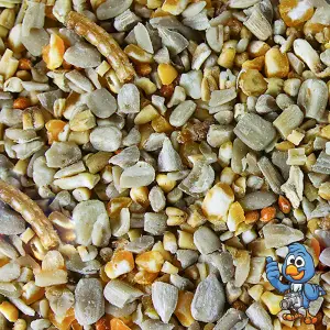 2.5L BusyBeaks Robin & Songbird Food - High Energy Wild Bird Seed For Garden Birds