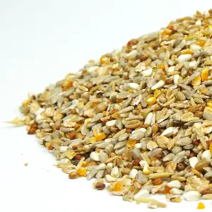 1L SQUAWK No Mess Seed Mix - Husk-Free Premium Grade Wild Bird Food Mixture