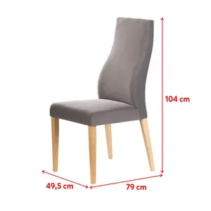 Feodosiy Upholstered Dining Chair (Set of 2) Dark Grey / Beech