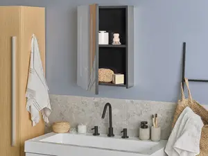 Bathroom Wall Mounted Mirror Cabinet with LED 40 x 60 cm Black CAMERON