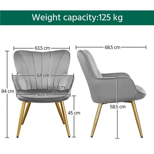 Yaheetech Light Grey Upholstered Velvet Armchair with Wing Side