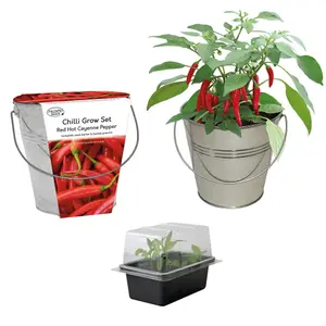 Pronto Seed Cayenne Chilli Pepper Growing Kit with Bucket Planter & Chilli Seeds - Gardening Gifts for Women & Men